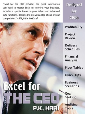 Excel for the Small Business Owner - ebook